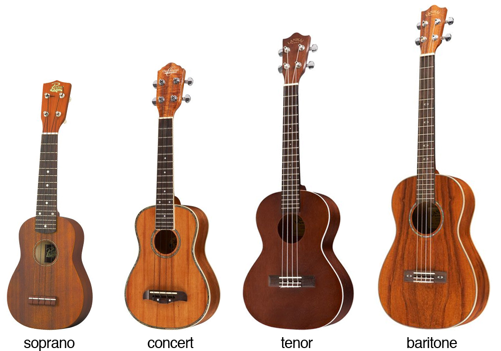 Musical instruments that are gaining popularity now - ukulele